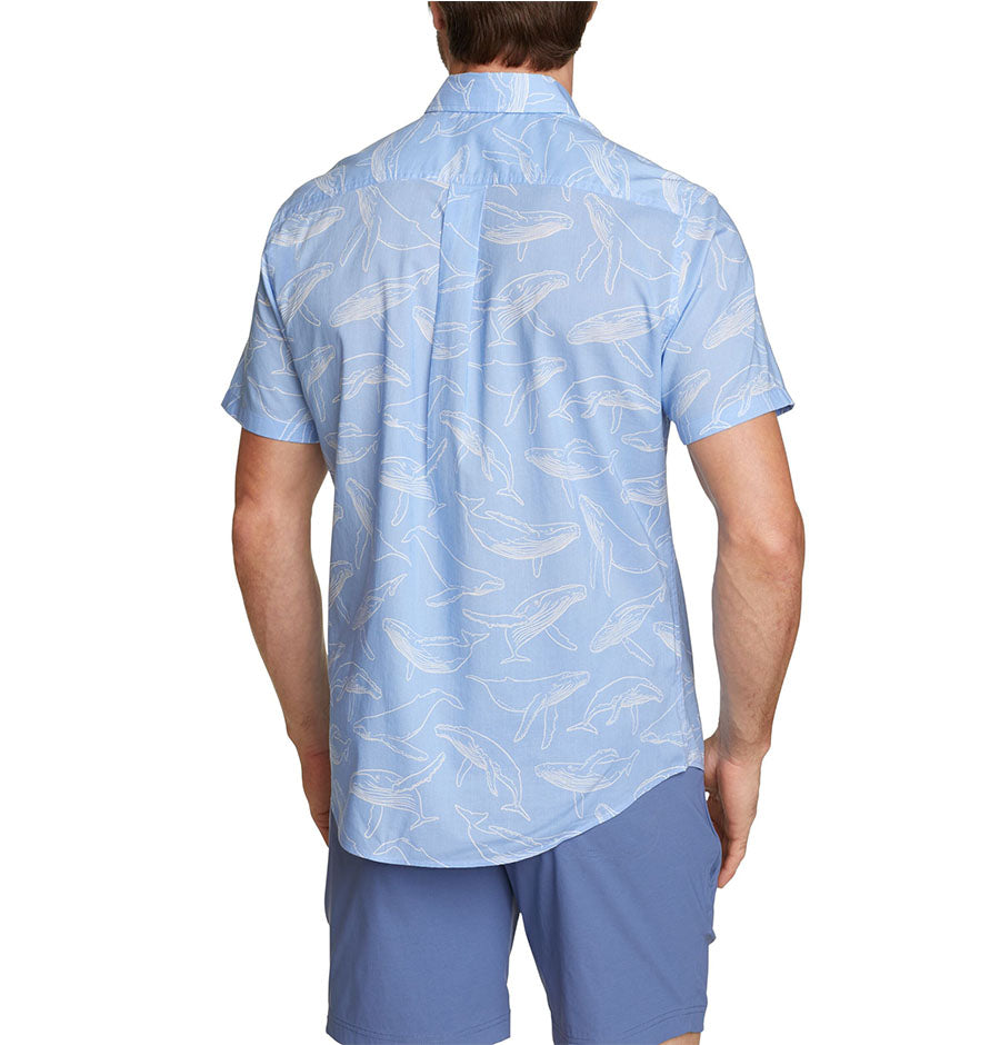 CAMISA HOMBRE KINGSTON MC