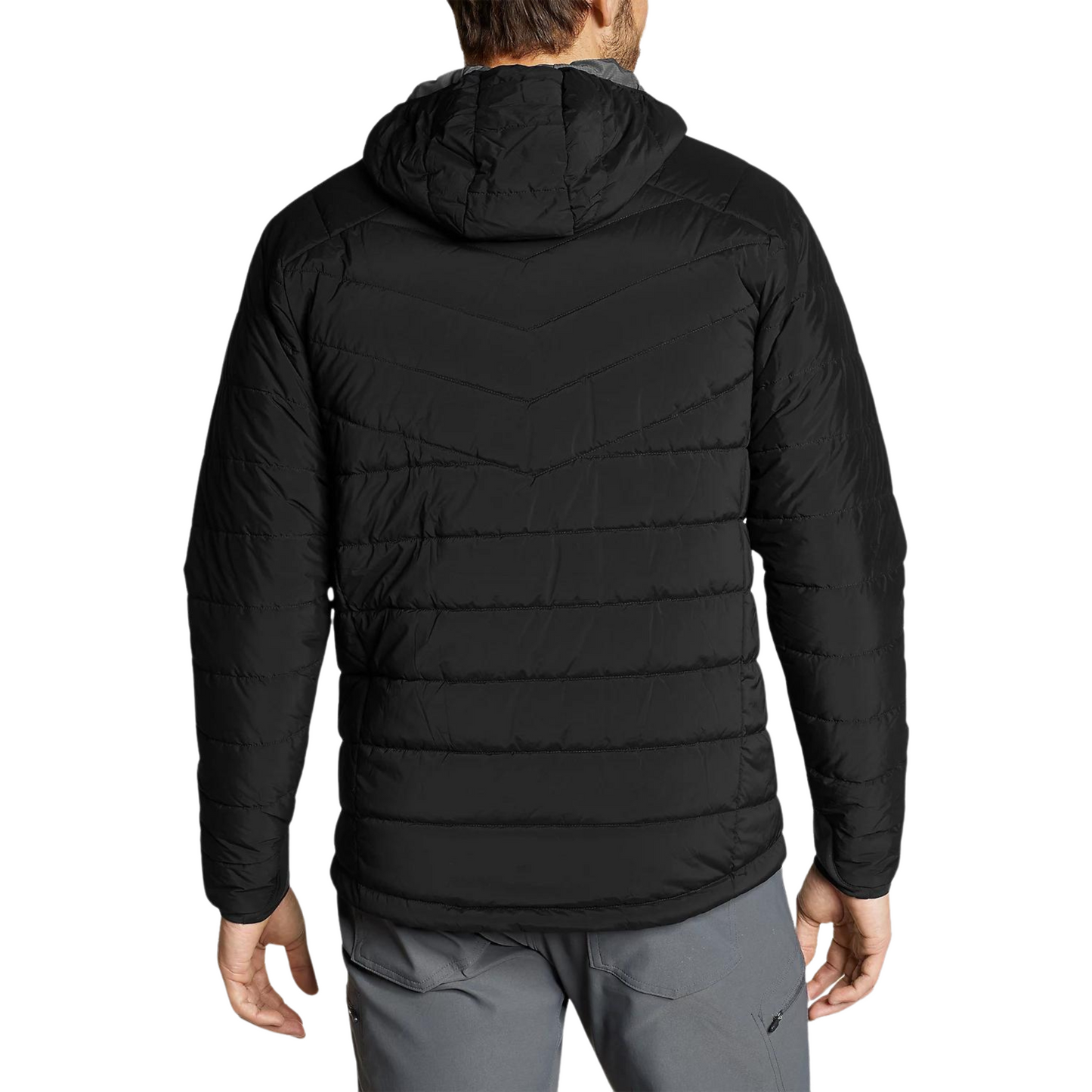 CHAQUETA HOMBRE IGNITELITE STRETCH / EDDIE BAUER